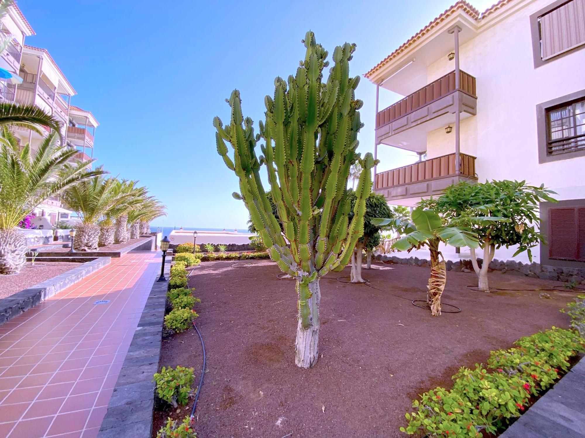 Tropicalidays Costa Mar Apartamento Costa Del Silencio Exterior foto